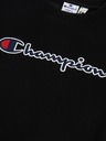 Champion Sweatshirt