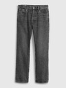 GAP Washwell Jeans