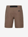 O'Neill Hybrid Short pants