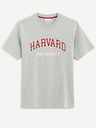 Celio Harvard University T-shirt