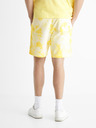 Celio Botache Short pants