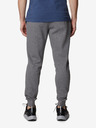 Columbia Logo™ Fleece Jogger II Sweatpants
