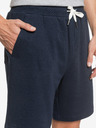 Quiksilver Short pants