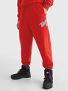 Tommy Jeans Sweatpants