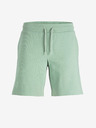 Jack & Jones New Basic Short pants