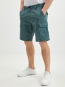 O'Neill Short pants