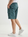 O'Neill Short pants