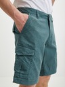 O'Neill Short pants