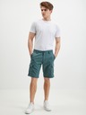 O'Neill Short pants