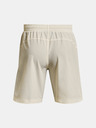 Under Armour UA Project Rock Woven Short pants