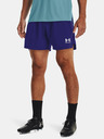 Under Armour UA Accelerate Short pants