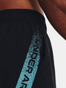 Under Armour UA Woven Graphic Shorts-BLK Short pants