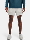 Under Armour UA Run Anywhere Short pants