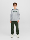 Jack & Jones Josh Kids Sweatshirt