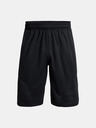 Under Armour UA Perimetr 11'' Short pants