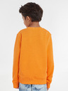 Calvin Klein Jeans Kids Sweatshirt