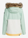 Roxy Shelter Winter jacket