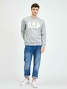 GAP Sweatshirt