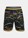 Under Armour Curry Short pants