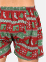 Styx Boxer shorts