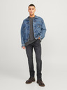 Jack & Jones Mike Jeans