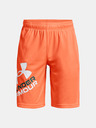 Under Armour UA Prototype 2.0 Logo Kids Shorts