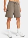 Under Armour UA Essl Flc Relax BF Shorts