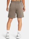 Under Armour UA Essl Flc Relax BF Shorts