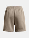 Under Armour UA Essl Flc Relax BF Shorts