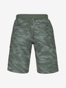 Kilpi Asher-M Short pants