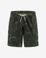 O'Neill Kamakou Short pants