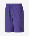 Puma TFS Shorts